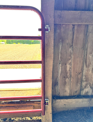 Stein-Way Wood Mount Gate Hinge Set with 5/8" Pin