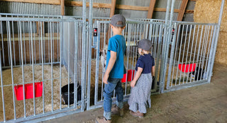 Showman Series Show Pens