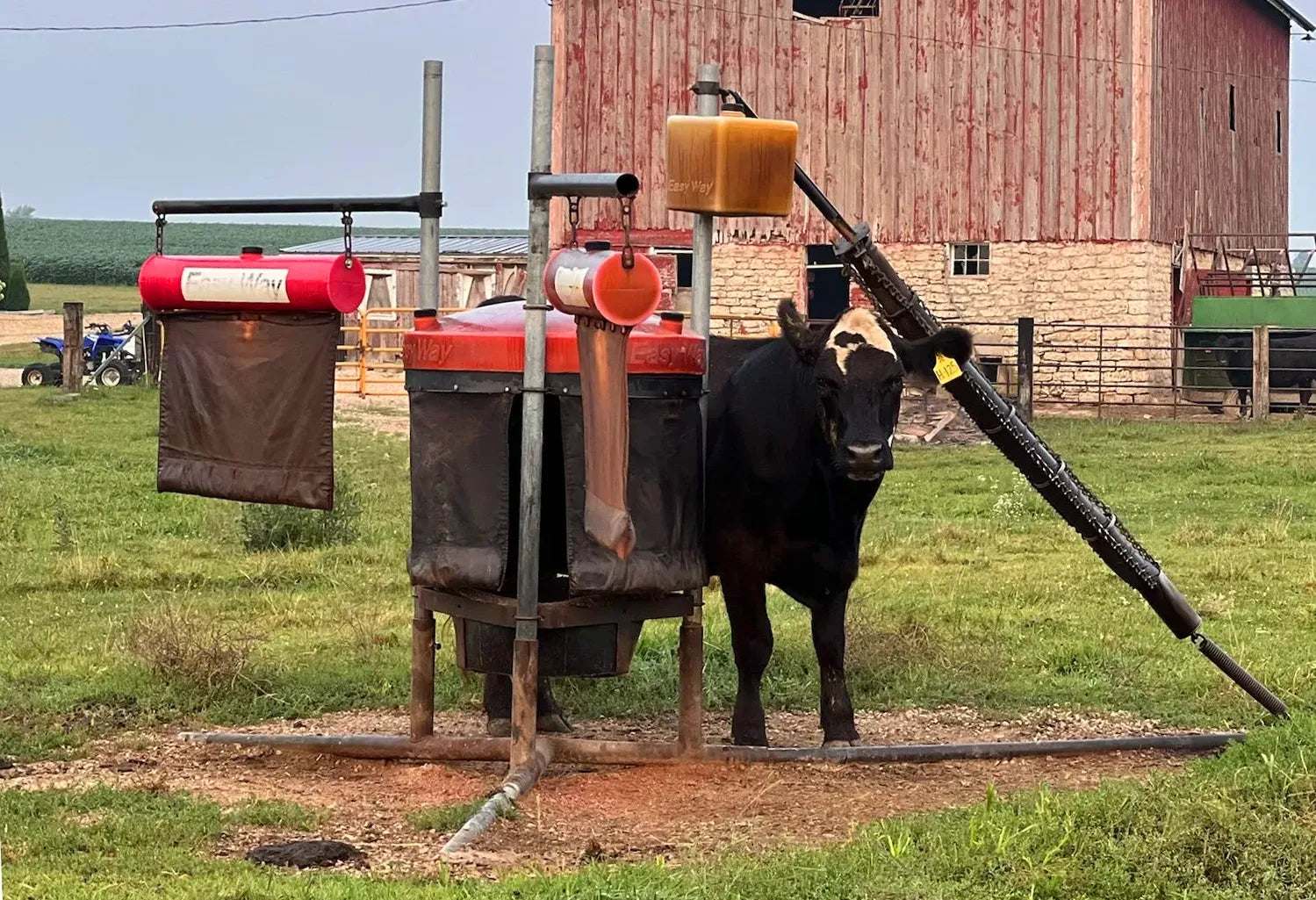 Farm Bug Control Cattle Pest Control – Beefy Ag