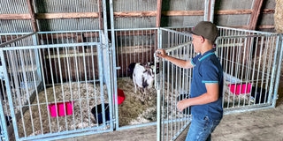 Grand Champion Series Show Pens
