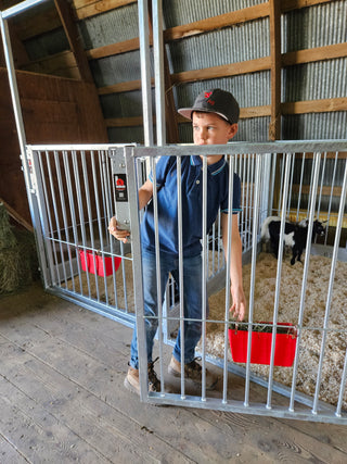 Stein-Way Champion Series Show Pen - Front Panel