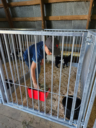 Stein-Way Champion Series Show Pen - Front Panel