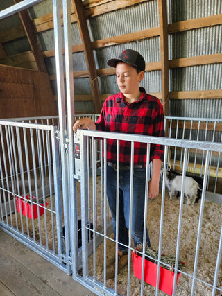 Stein-Way Champion Series Show Pen - Front Panel