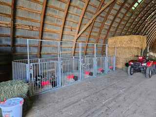 Stein-Way Showman Series Show Pen - Back Panel