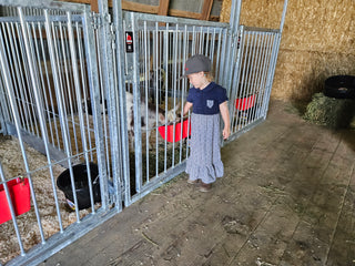 Stein-Way Champion Series Show Pen - Front Panel