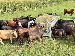 Stein-Way Bale Boss 12 Hay Feeder