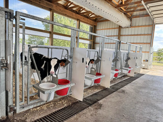 Stein-Way Calf Feeder Gate