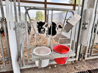 Stein-Way Calf Feeder Gate