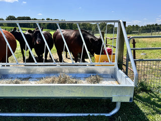 Stein-Way 3608 Fence-Line Feeder