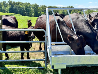 Stein-Way 3608 Fence-Line Feeder