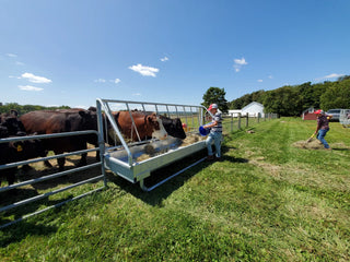 Stein-Way 3612 Fence-Line  Feeder