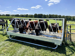 Stein-Way 3612 Fence-Line  Feeder