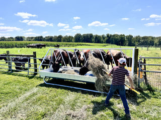 Stein-Way 3612 Fence-Line  Feeder