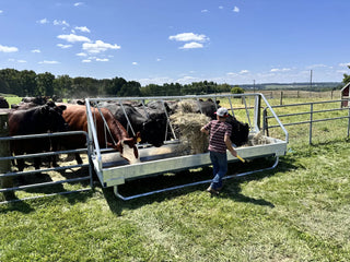 Stein-Way 3612 Fence-Line  Feeder