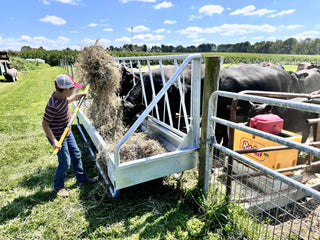 Stein-Way 3612 Fence-Line  Feeder