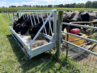 Stein-Way 3612 Fence-Line  Feeder