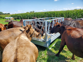 Stein-Way 5408 Feed Bunk