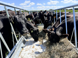 Stein-Way 5408 Feed Bunk