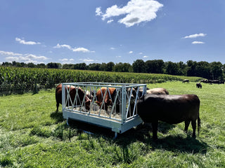 Stein-Way 5408 Feed Bunk