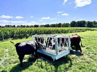 Stein-Way 5408 Feed Bunk