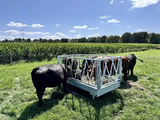 Stein-Way 5408 Feed Bunk