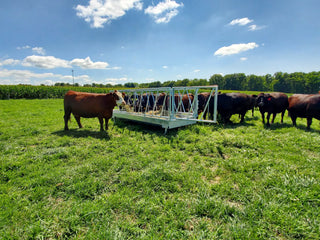 Stein-Way 5412 Feed Bunk