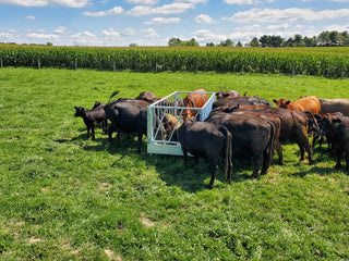 Stein-Way 5412 Feed Bunk