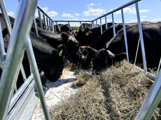 Stein-Way 5412 Feed Bunk