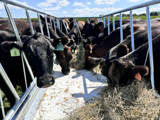 Stein-Way 5412 Feed Bunk