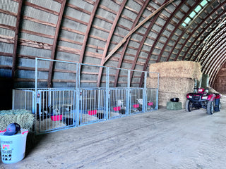Stein-Way Grand Champion Series Show Pen - Back Panel