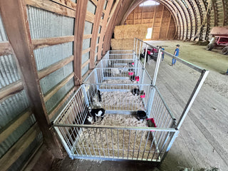 Stein-Way Grand Champion Series Show Pen - Side Panel