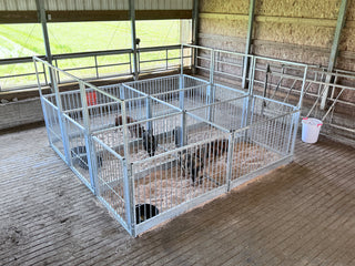 Stein-Way Grand Champion Series Show Pen - Back Panel