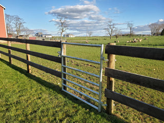 Stein-Way 3/4" x 12" Threaded Bolt Hinge Set for Livestock Gates