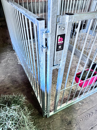 Stein-Way Fair & Show Pens - Customizable