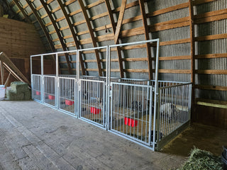 Stein-Way Fair & Show Pens - Customizable