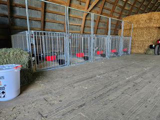 Stein-Way Fair & Show Pens - Customizable