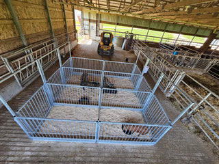 Stein-Way Fair & Show Pens - Customizable