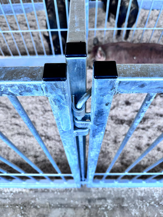Stein-Way Fair & Show Pens - Customizable