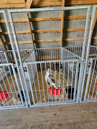 Stein-Way Fair & Show Pens - Customizable