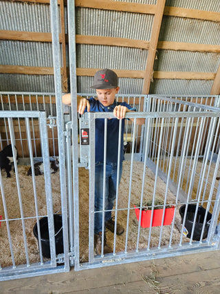 Stein-Way Fair & Show Pens - Customizable