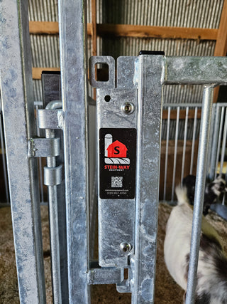 Stein-Way Fair & Show Pens - Customizable