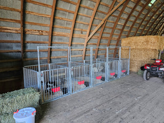 Stein-Way Fair & Show Pens - Customizable