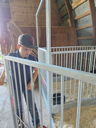Stein-Way Fair & Show Pens - Customizable